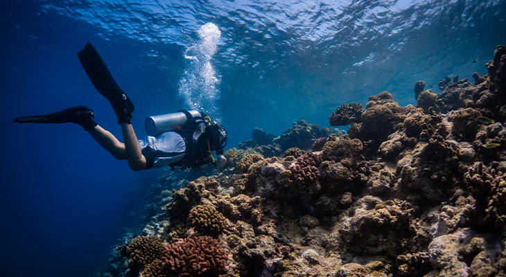 6-Hour Snorkelling Trip in Jeddah with Snorkelling Tools and Snacks