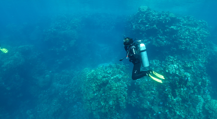 6-Hour Snorkelling Trip in Jeddah with Snorkelling Tools and Snacks