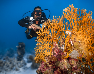 4-Hour Scuba Diving Experience in Jeddah