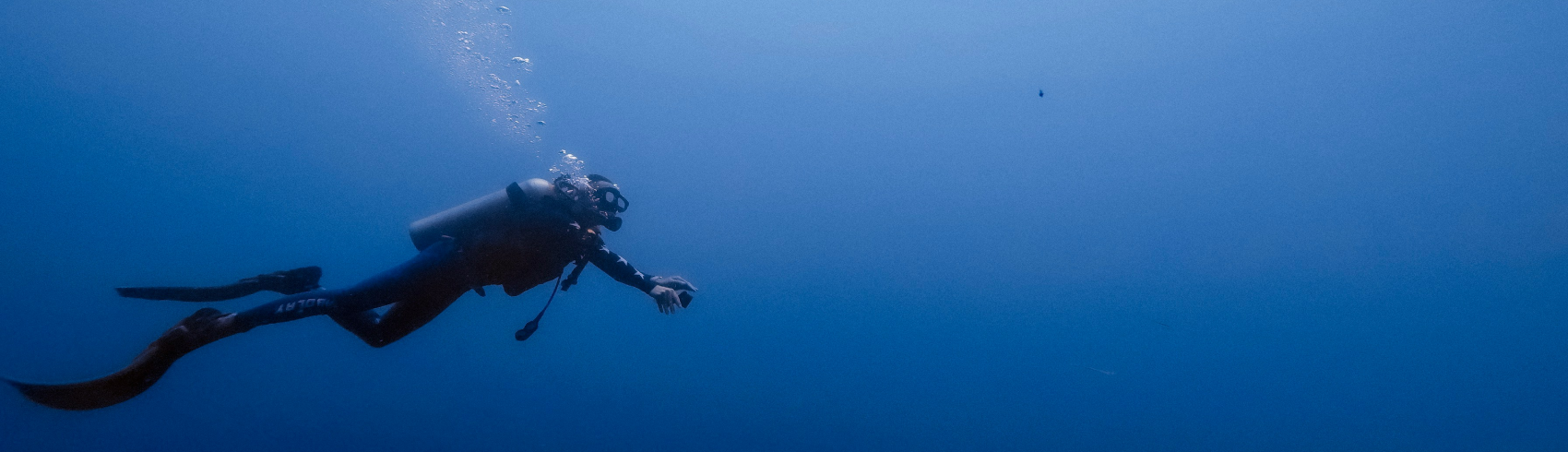 Diving In Bahrain