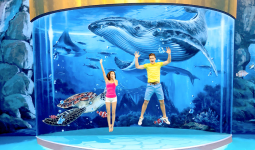 Entry Ticket to Aquaria Phuket and AR Trick Eye Museum with 32% Off 