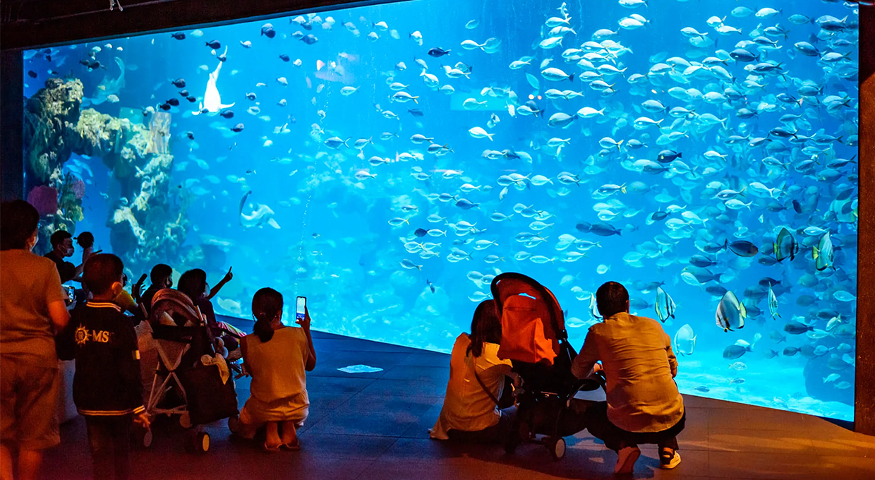 Entry Ticket to Aquaria Phuket and AR Trick Eye Museum with 32% Off 