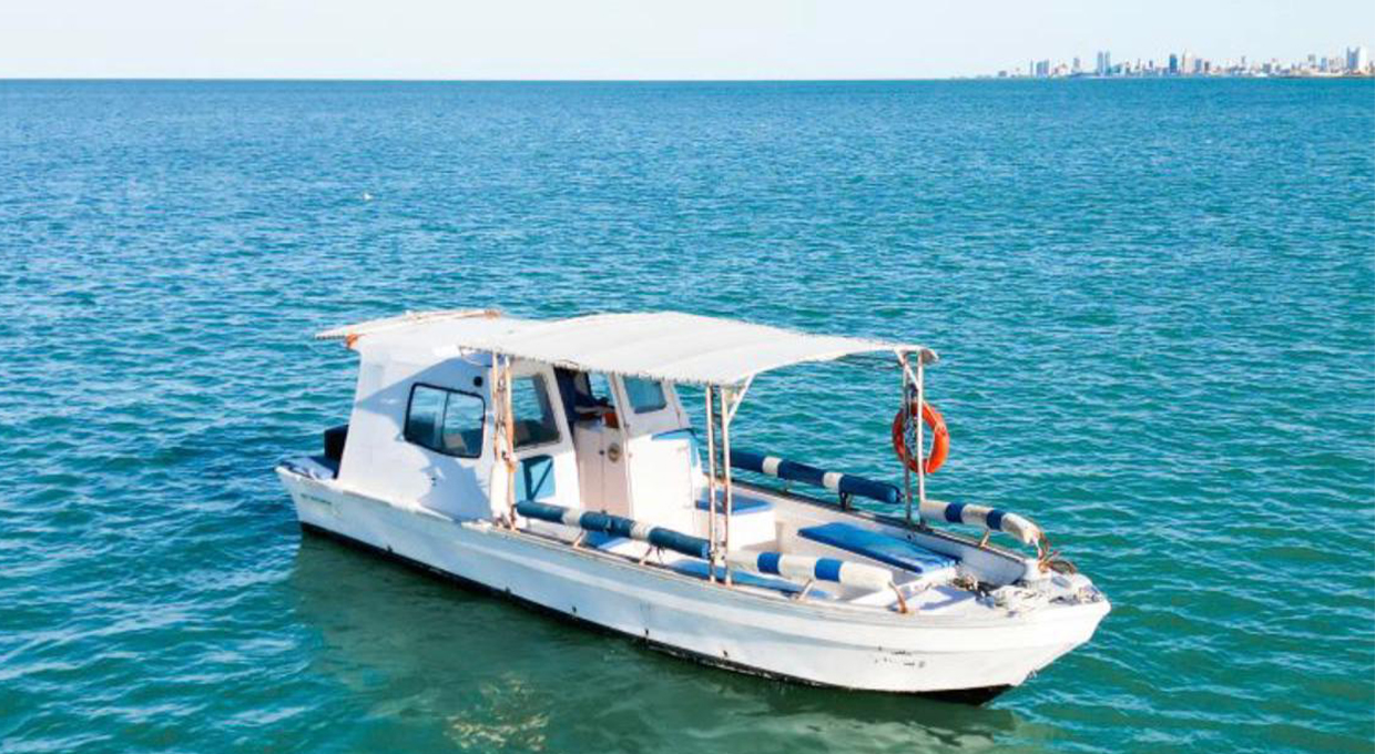 Sea Trip on Board Salma 3 Boat for Groups up to 6 People