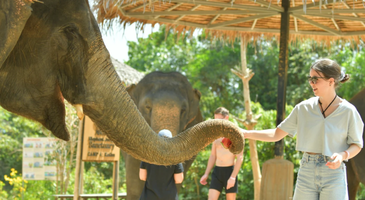 Phuket: 6-Hour Tour at Elephant Jungle Sanctuary with 15% Off in Thailand