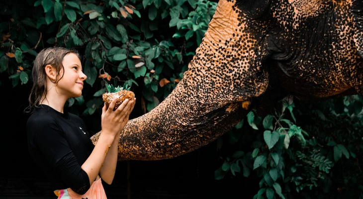 Phuket: 6-Hour Tour at Elephant Jungle Sanctuary with 15% Off in Thailand