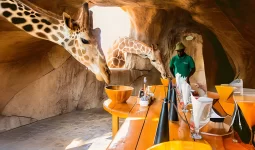 All-Day Pass Entry Ticket to Emirates Park Zoo in Abu Dhabi