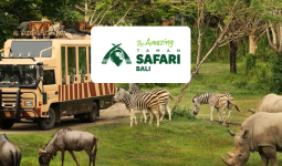 Jungle Hopper Ticket to Bali Safari and Marine Park with Animal Shows