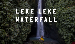 Private Tour to Leke-Leke Waterfall, Monkey Forest, and Jungle Swing with Transfers