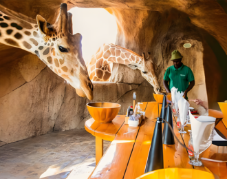 All-Day Pass Entry Ticket to Emirates Park Zoo in Abu Dhabi