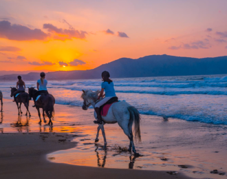 Enjoy Horse Riding on The Beach for 2 Hours + 1 Hour Free!