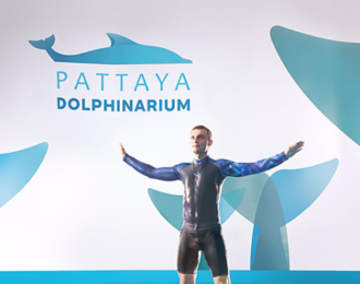 Ticket for Dolphins Show and Swimming with Them at Pattaya Dolphinarium with 10% Off