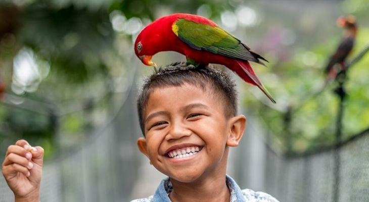 All Day Pass Entry Ticket to Bali Bird Park  