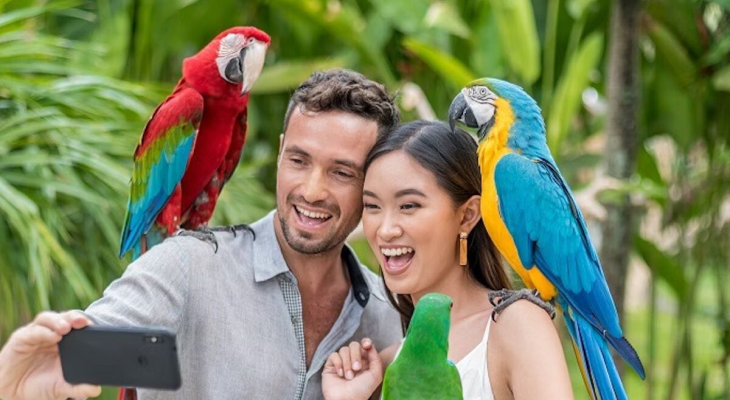 All Day Pass Entry Ticket to Bali Bird Park  