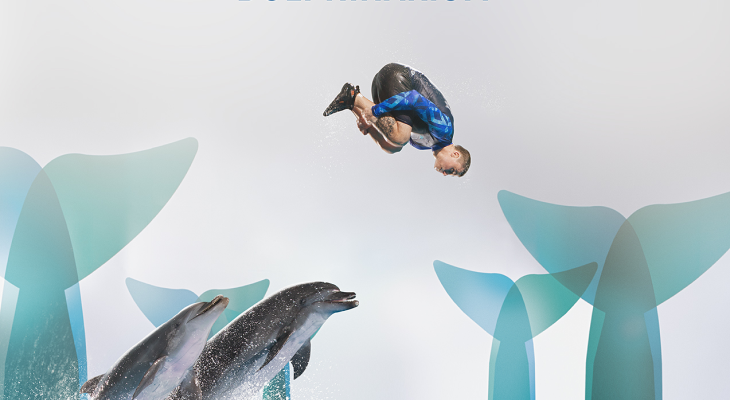 Ticket for Dolphins Show and Swimming with Them at Pattaya Dolphinarium with 10% Off