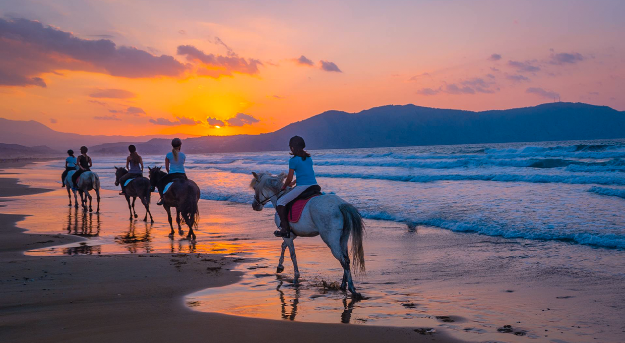 Enjoy Horse Riding on The Beach for 2 Hours + 1 Hour Free!