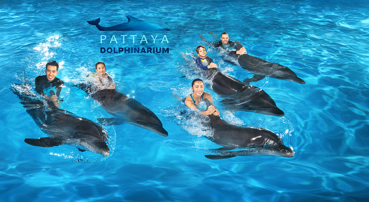 Ticket for Dolphins Show and Swimming with Them at Pattaya Dolphinarium with 10% Off