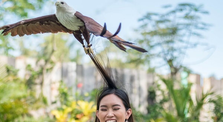 All Day Pass Entry Ticket to Bali Bird Park  