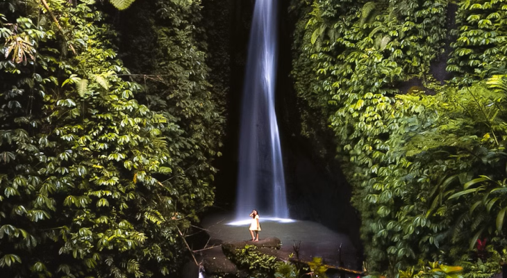 Private Tour to Leke-Leke Waterfall, Monkey Forest, and Jungle Swing with Transfers