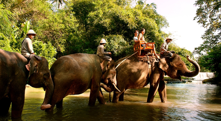 All-Day Pass Entry Ticket to Bali Zoo