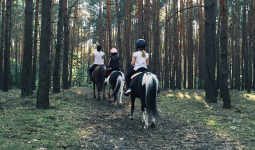 Horse riding in Karzakan Forest 