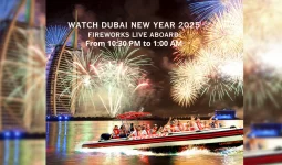 New Year's Eve Fireworks Show Aboard Love Boats cruise for 2 and a Half Hours