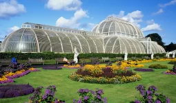 Entry Ticket to Kew Gardens and Palace with a Free Walking Tour