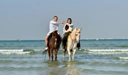 Horse Riding Tour from Karzakan Forest to Malkiya Beach