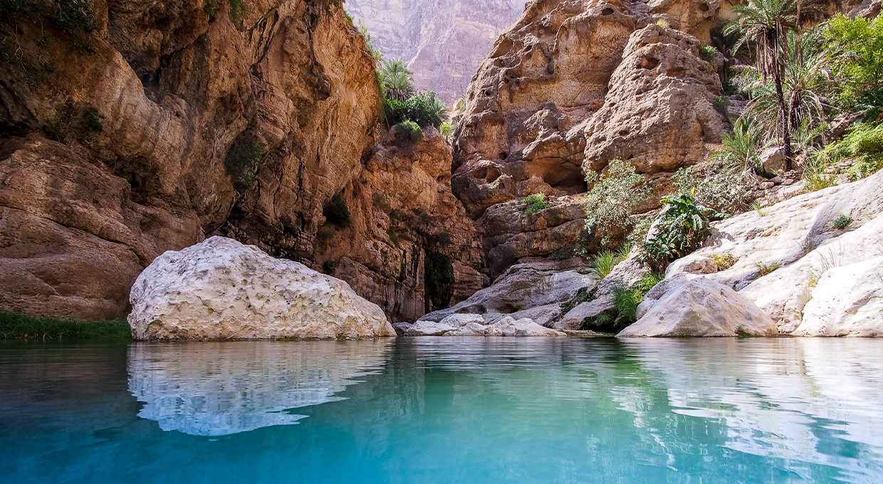 2-Night Camping Trip at Wadi Tiwi and Dayqah