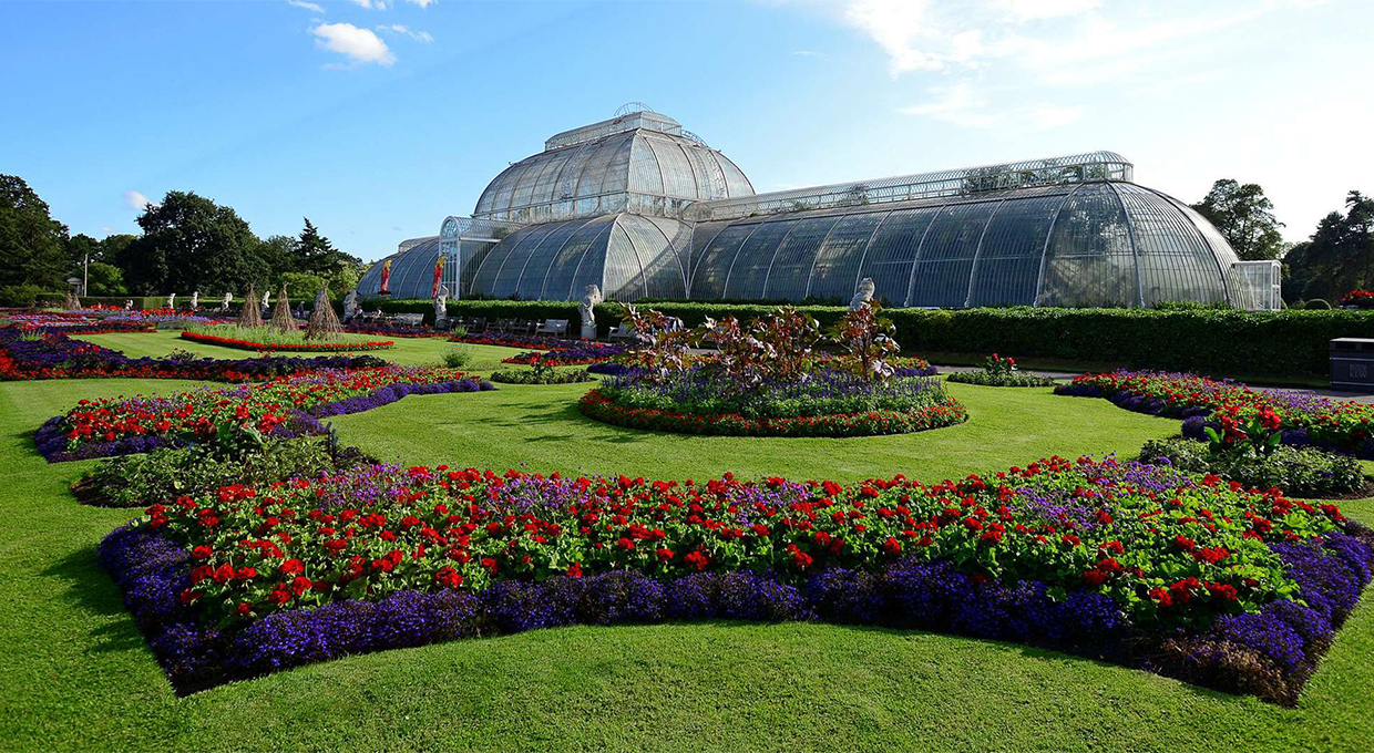 Entry Ticket to Kew Gardens and Palace with a Free Walking Tour