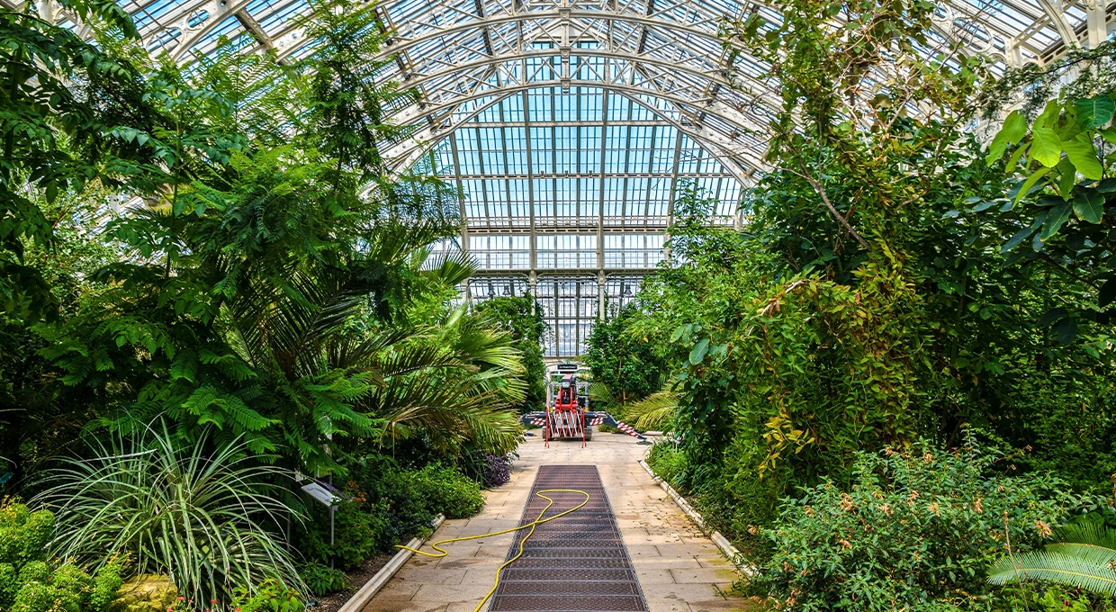 Entry Ticket to Kew Gardens and Palace with a Free Walking Tour