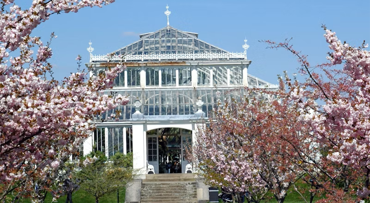 Entry Ticket to Kew Gardens and Palace with a Free Walking Tour