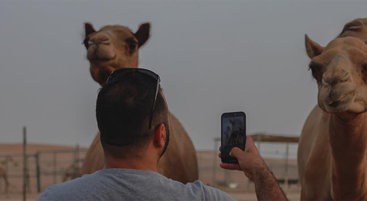 6-Hour Evening Desert Safari Trip with BBQ Dinner