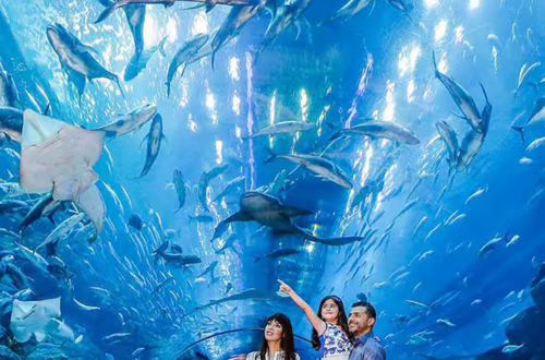 Kids Activities in Dubai: Your Ultimate Guide to Unforgettable Memories with Your Kids